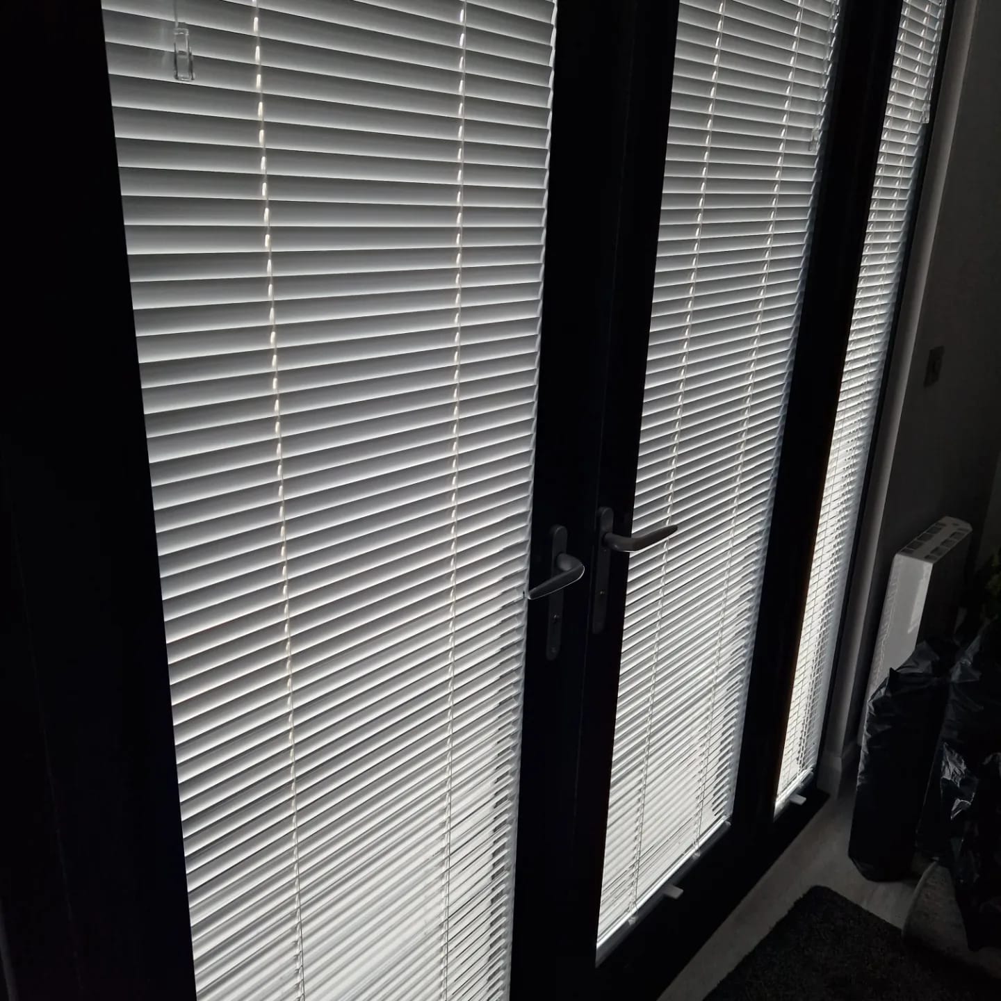 venetian blinds back door window